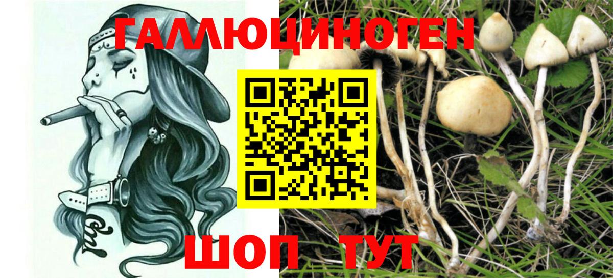 наркотики  Псилоцибиновые грибы Psilocybe  Вход с VPN  Галлюциногенные грибы GOLDEN TEACHER  Егорьевск 